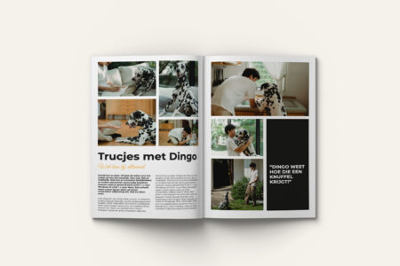 tijdschrift huisdier - Afbeelding 2